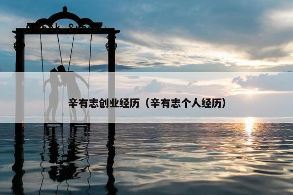 辛有志创业经历（辛有志个人经历）