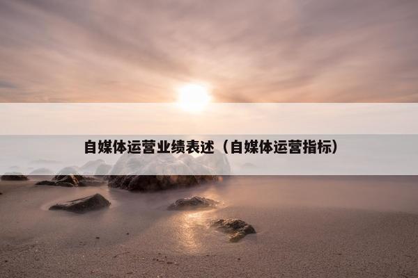 自媒体运营业绩表述（自媒体运营指标）