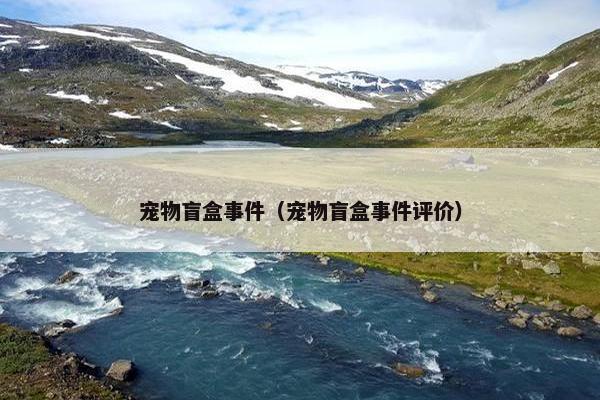 宠物盲盒事件（宠物盲盒事件评价）