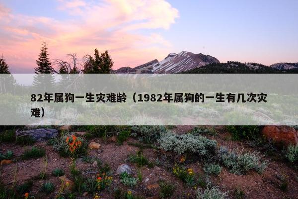 82年属狗一生灾难龄（1982年属狗的一生有几次灾难）