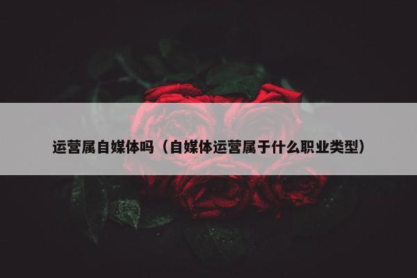运营属自媒体吗（自媒体运营属于什么职业类型）