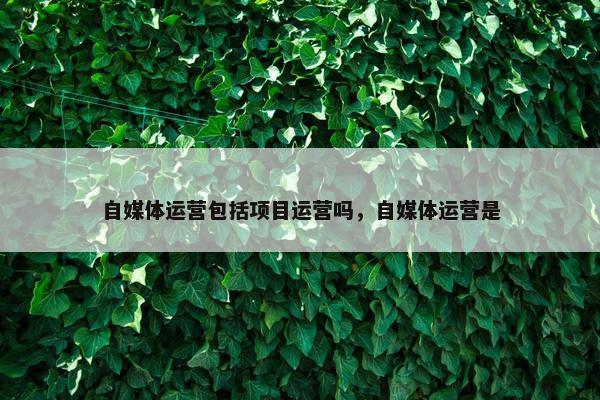 自媒体运营包括项目运营吗，自媒体运营是