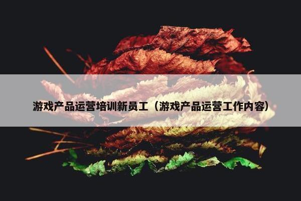 游戏产品运营培训新员工（游戏产品运营工作内容）