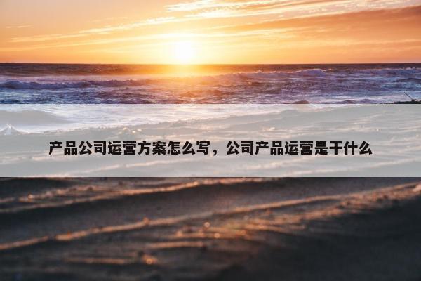 产品公司运营方案怎么写，公司产品运营是干什么