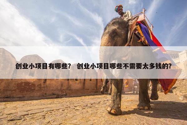 创业小项目有哪些？ 创业小项目哪些不需要太多钱的？