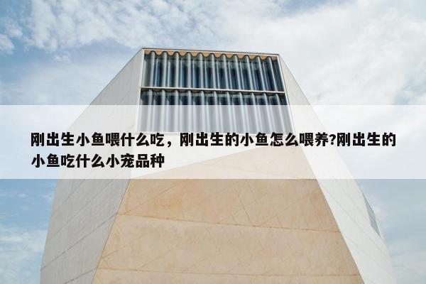 刚出生小鱼喂什么吃，刚出生的小鱼怎么喂养?刚出生的小鱼吃什么小宠品种