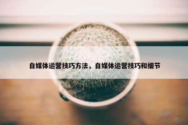 自媒体运营技巧方法，自媒体运营技巧和细节