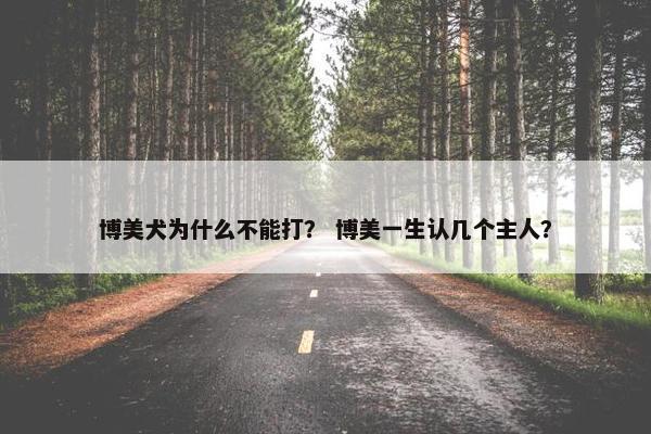 博美犬为什么不能打？ 博美一生认几个主人？