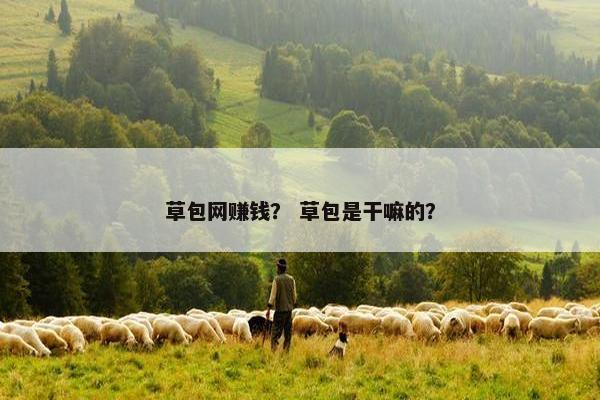 草包网赚钱？ 草包是干嘛的？