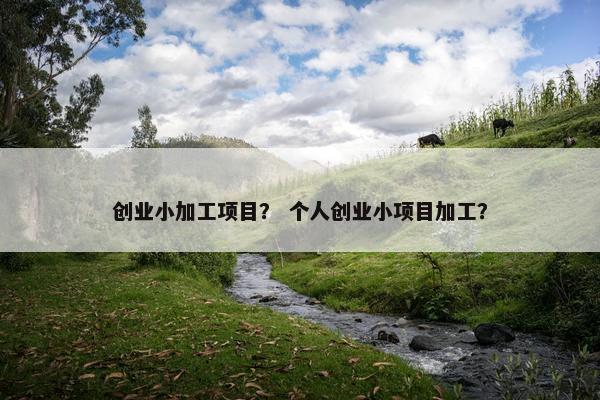 创业小加工项目？ 个人创业小项目加工？