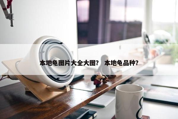 本地龟图片大全大图？ 本地龟品种？
