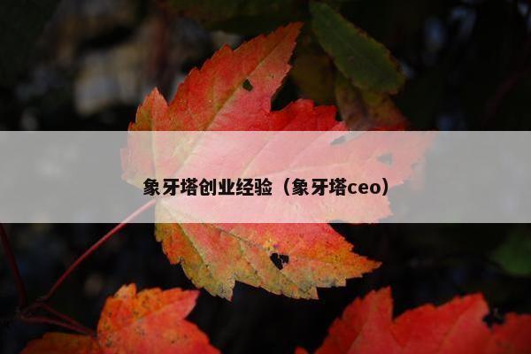 象牙塔创业经验（象牙塔ceo）