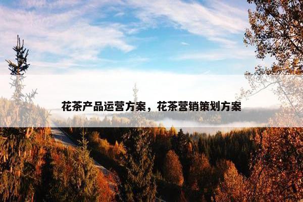 花茶产品运营方案，花茶营销策划方案
