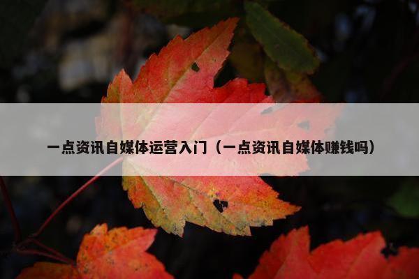 一点资讯自媒体运营入门（一点资讯自媒体赚钱吗）