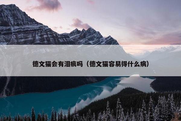 德文猫会有泪痕吗（德文猫容易得什么病）