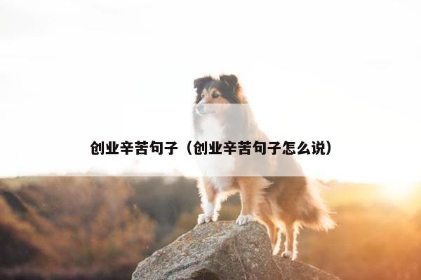 创业辛苦句子（创业辛苦句子怎么说）