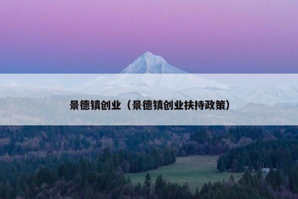 景德镇创业（景德镇创业扶持政策）