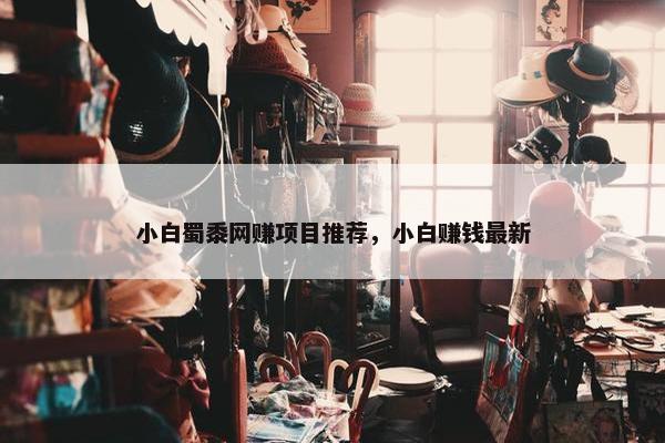 小白蜀黍网赚项目推荐，小白赚钱最新