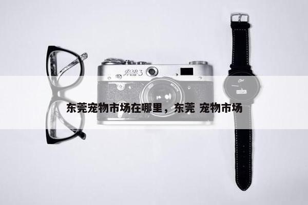 东莞宠物市场在哪里，东莞 宠物市场
