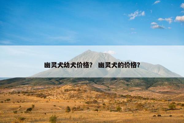 幽灵犬幼犬价格？ 幽灵犬的价格？