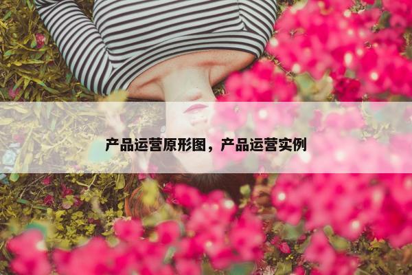 产品运营原形图，产品运营实例