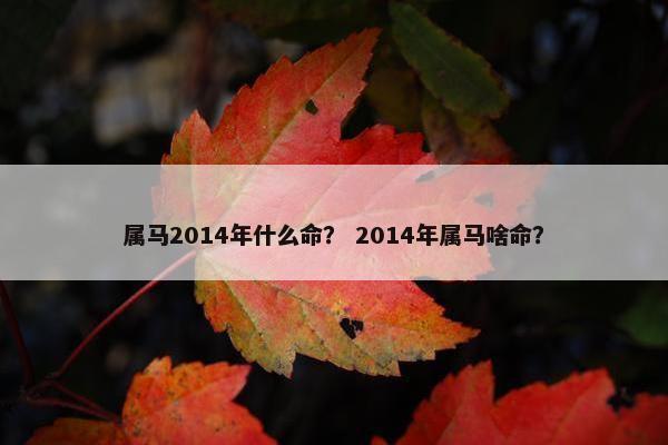 属马2014年什么命？ 2014年属马啥命？