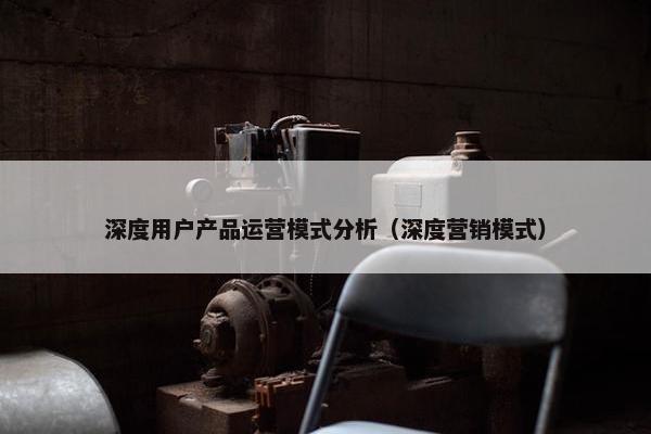 深度用户产品运营模式分析（深度营销模式）