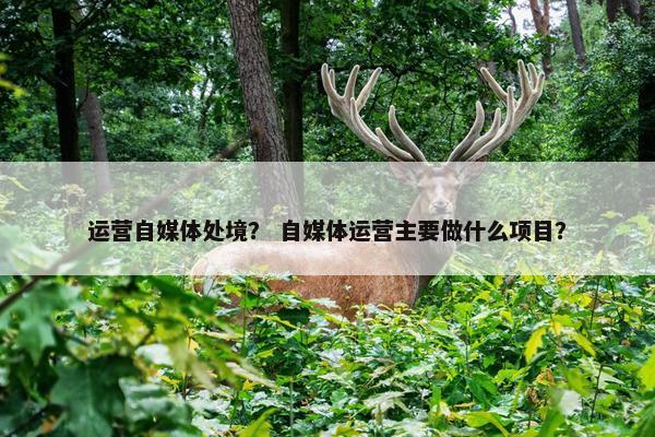 运营自媒体处境？ 自媒体运营主要做什么项目？