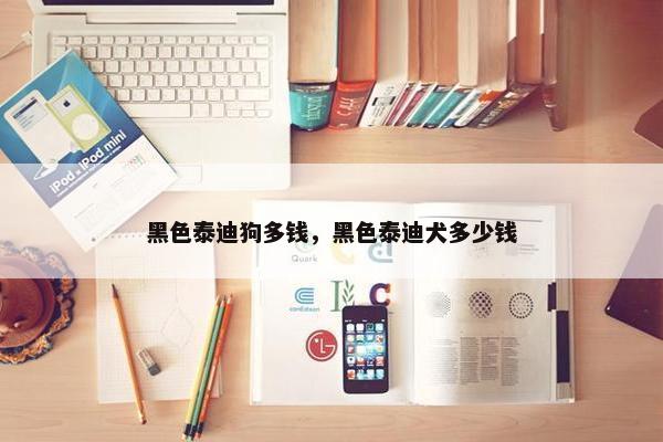 黑色泰迪狗多钱，黑色泰迪犬多少钱