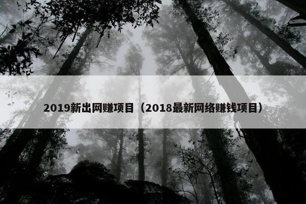 2019新出网赚项目（2018最新网络赚钱项目）