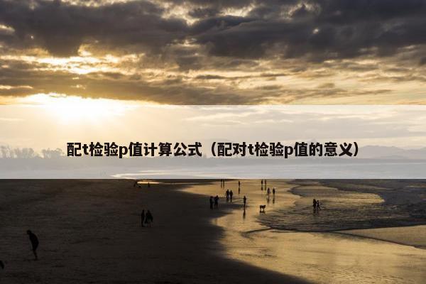 配t检验p值计算公式（配对t检验p值的意义）