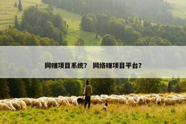网赚项目系统？ 网络赚项目平台？