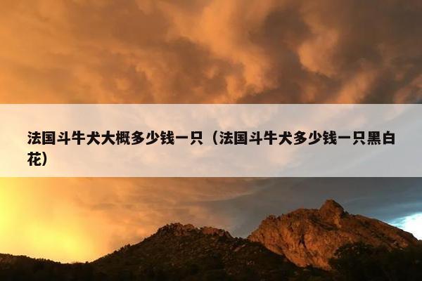 法国斗牛犬大概多少钱一只（法国斗牛犬多少钱一只黑白花）