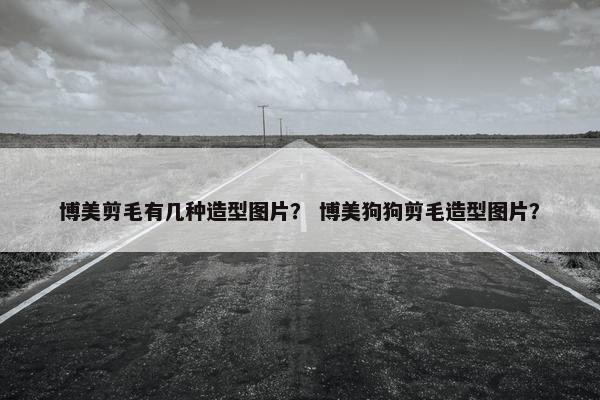 博美剪毛有几种造型图片？ 博美狗狗剪毛造型图片？