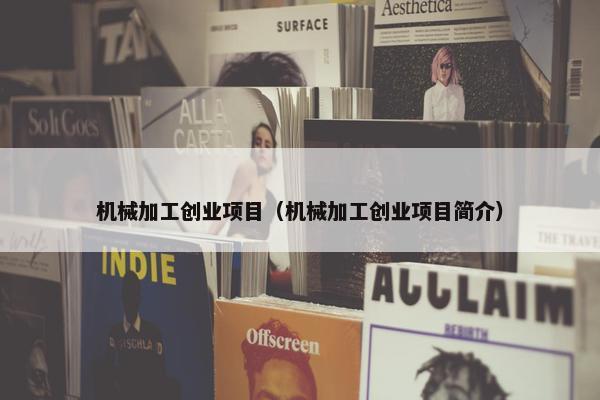 机械加工创业项目（机械加工创业项目简介）