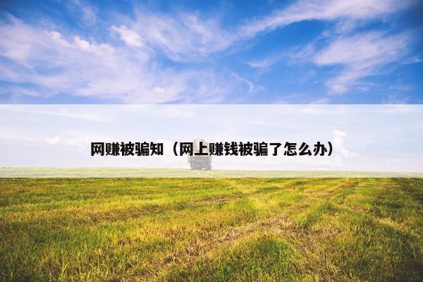 网赚被骗知（网上赚钱被骗了怎么办）