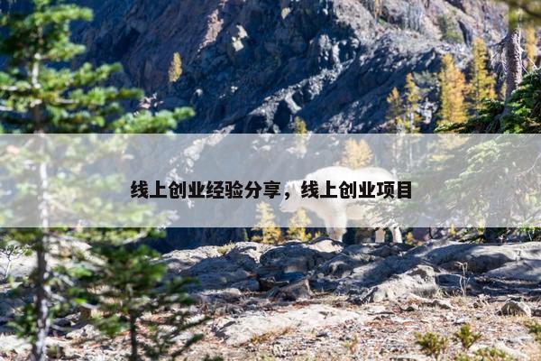 线上创业经验分享，线上创业项目