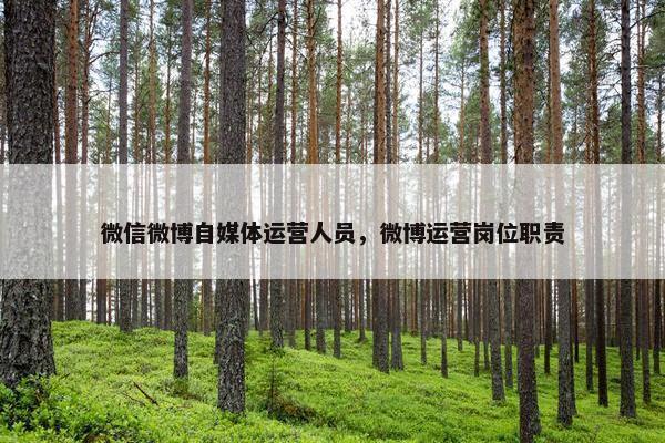 微信微博自媒体运营人员，微博运营岗位职责