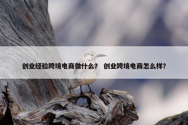 创业经验跨境电商做什么？ 创业跨境电商怎么样？