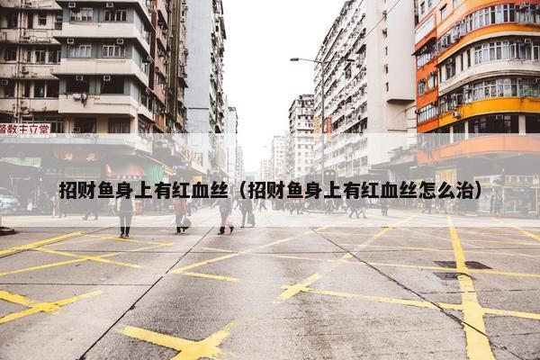 招财鱼身上有红血丝（招财鱼身上有红血丝怎么治）