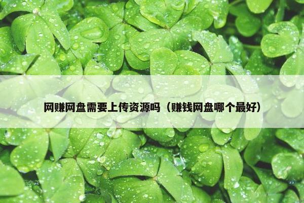 网赚网盘需要上传资源吗（赚钱网盘哪个最好）