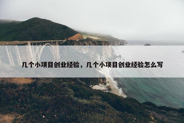 几个小项目创业经验，几个小项目创业经验怎么写