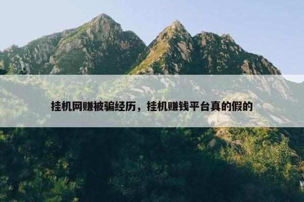 挂机网赚被骗经历，挂机赚钱平台真的假的