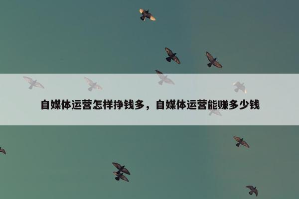 自媒体运营怎样挣钱多，自媒体运营能赚多少钱