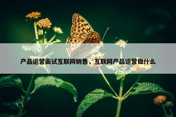 产品运营面试互联网销售，互联网产品运营做什么