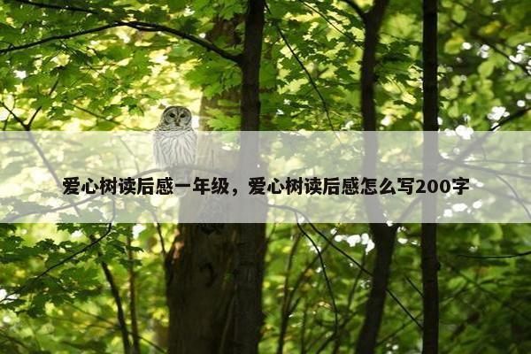 爱心树读后感一年级，爱心树读后感怎么写200字