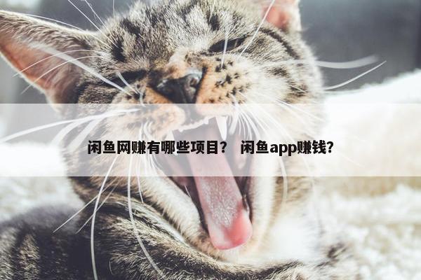 闲鱼网赚有哪些项目？ 闲鱼app赚钱？