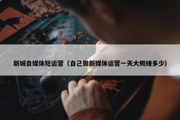 新城自媒体短运营（自己做新媒体运营一天大概赚多少）