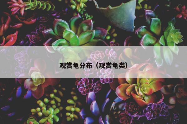 观赏龟分布（观赏龟类）