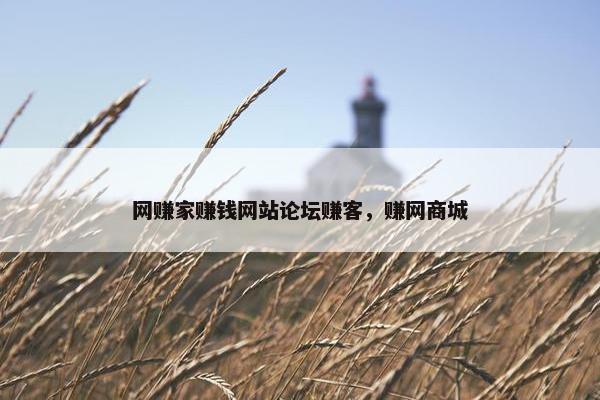网赚家赚钱网站论坛赚客，赚网商城
